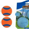 Chuckit! | Chuckit! Ultra Ball Dog Toy, Medium (2.5 Inch Diameter) Pack Of 2, For Breeds 20-60 Lbs